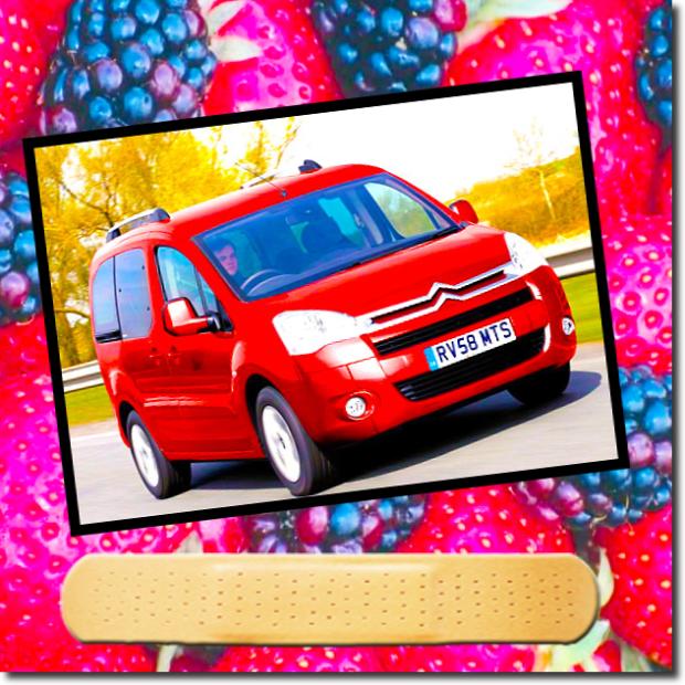  Citroen Berlingo Multispace
