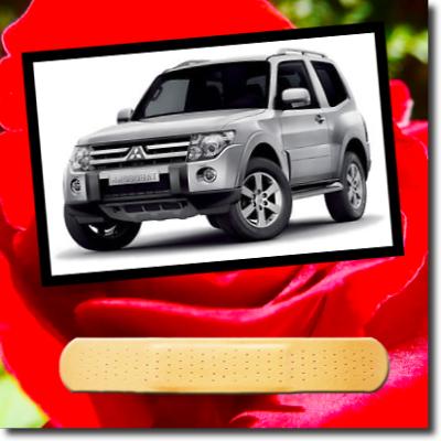 MITSUBISHI SHOGUN SWB