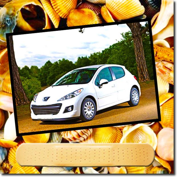  Peugeot 207