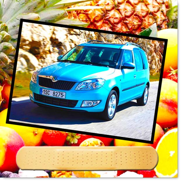  Skoda Roomster