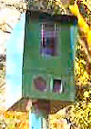 Watchman Cameras