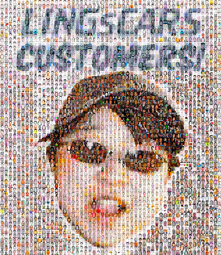 LINGsCARS customer mosaic!